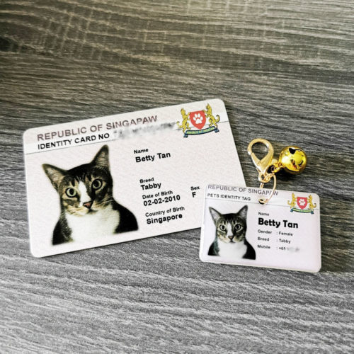 16 Places To Buy Pet Accessories In Singapore To Spoil & Dress Up Your