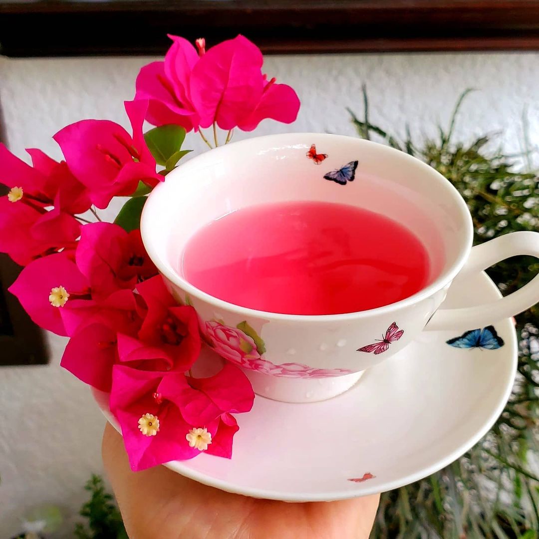 Bougainvillea Flower Tea