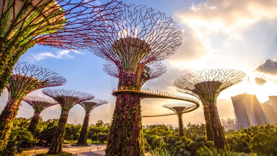 OCBC Skyway Gardens by the Bay