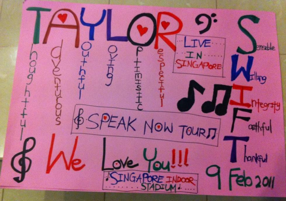 Taylor Swift Concert Poster