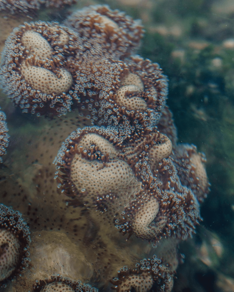 Tanjong Rimau Beach: Sentosa’s Best Kept Secret With Caves & Wildlife