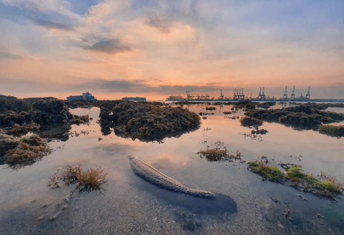 Tanjong Rimau Beach: Sentosa’s Best Kept Secret With Caves & Wildlife