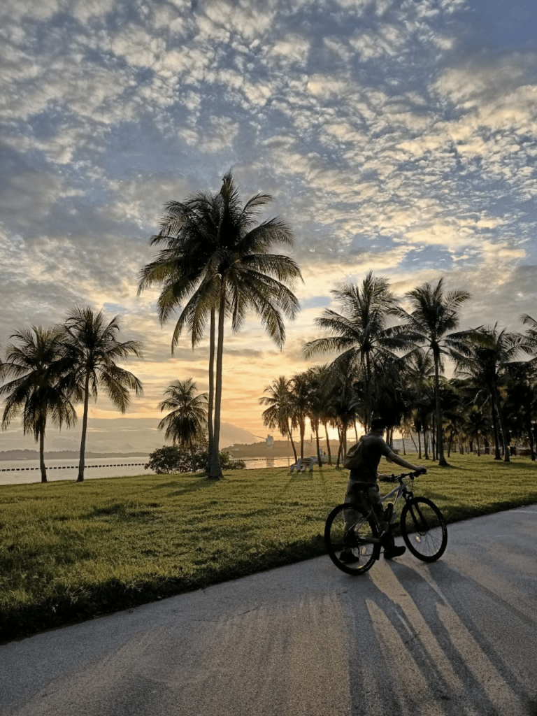 Guide To Bicycle Rental In Singapore, Sorted By Location