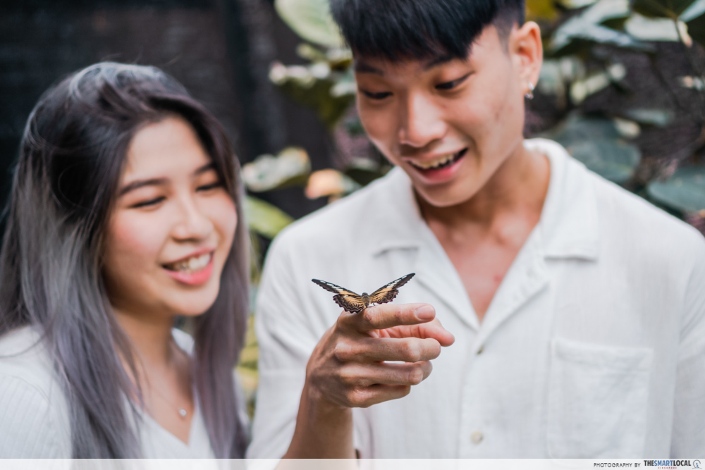 science centre singapore 2021 - butterflies up-close butterfly park