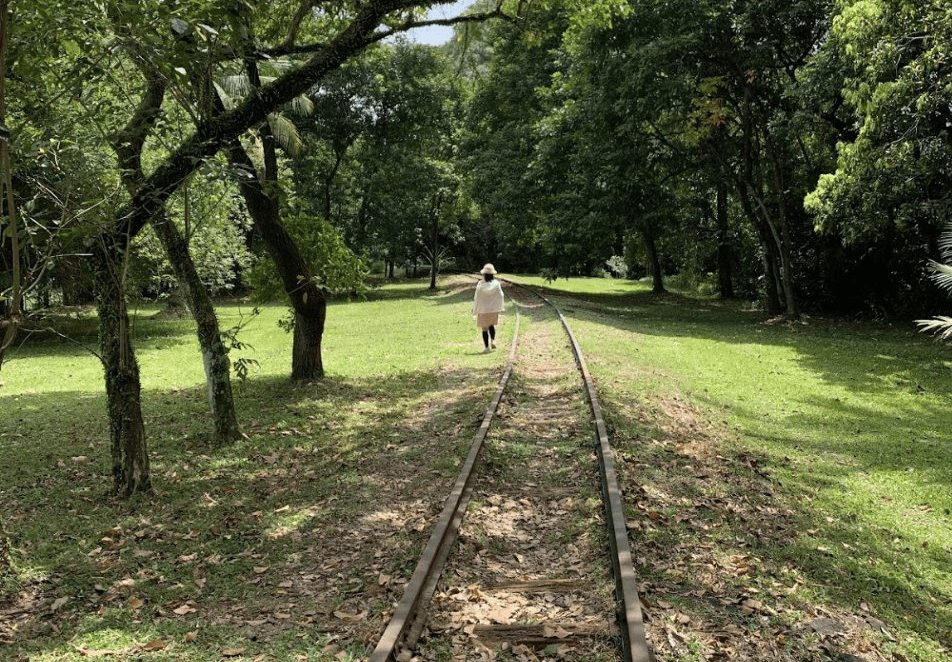 things to do in west singapore - abandoned jurong railway line
