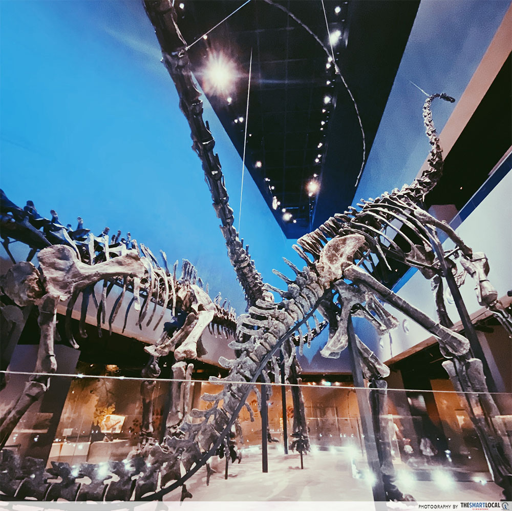 Lee Kong Chian Natural History Museum dinosaurs