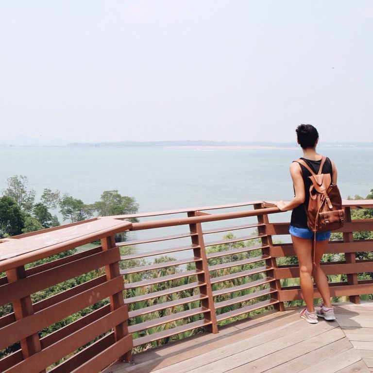 Guide To Chek Jawa Wetlands On Pulau Ubin