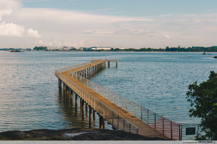 Guide To Chek Jawa Wetlands On Pulau Ubin