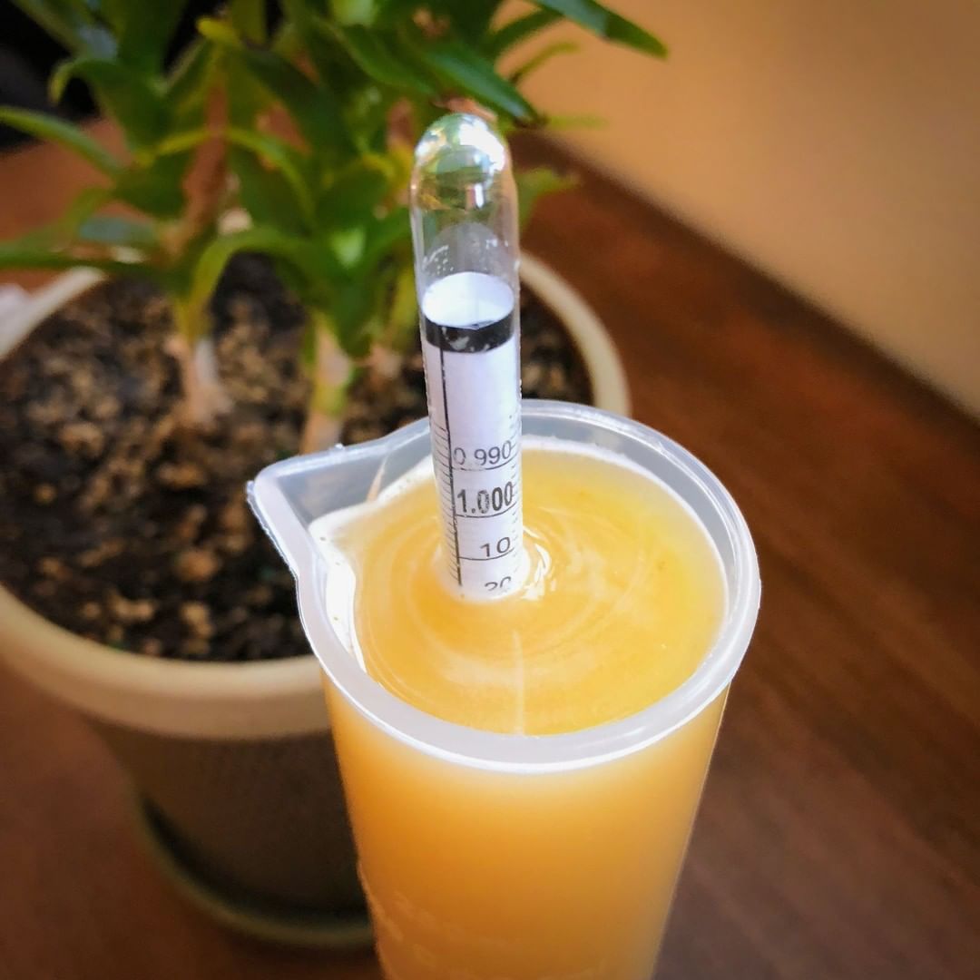 hydrometer to measure beer alcohol