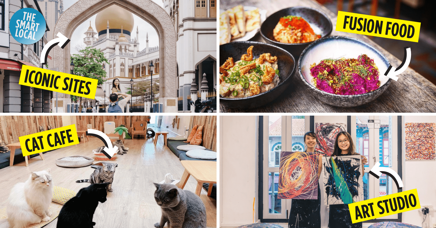 Arab Street: Cat Cafes, Unique Art Studio & Fusion Middle-Eastern Food - Vimarsana News