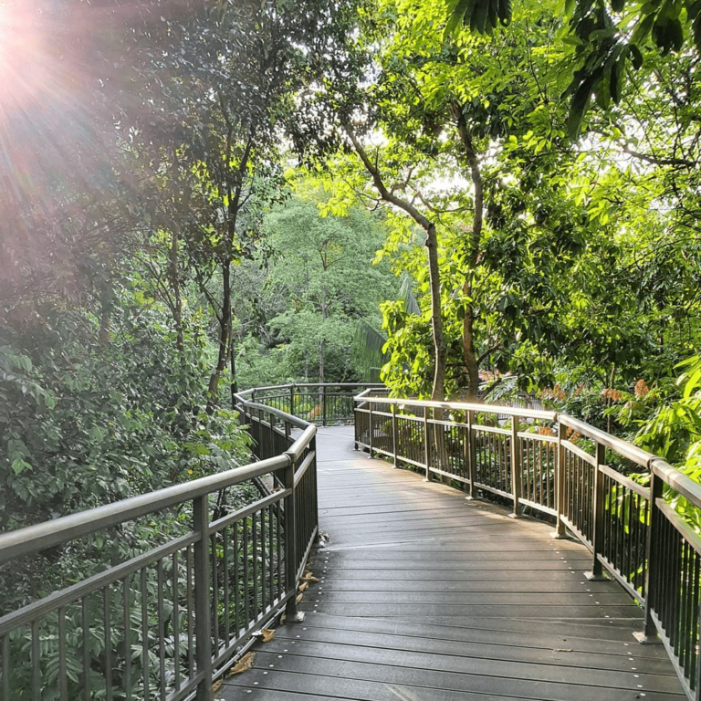 Bukit Chandu: Trails Near Kent Ridge Park With A Hidden WWII History