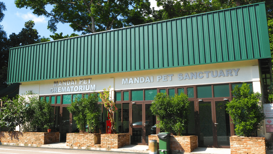 Mandai Pets Sanctuary