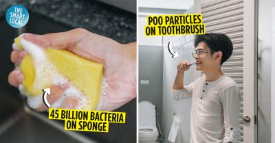 bacteria on household items