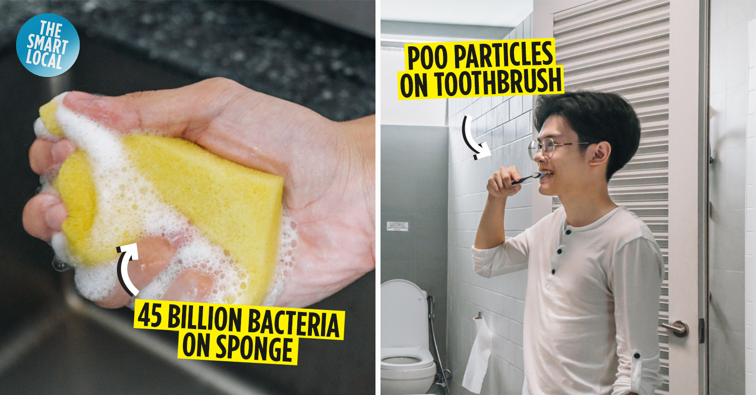 Kitchen sponges are hidden bacteria havens