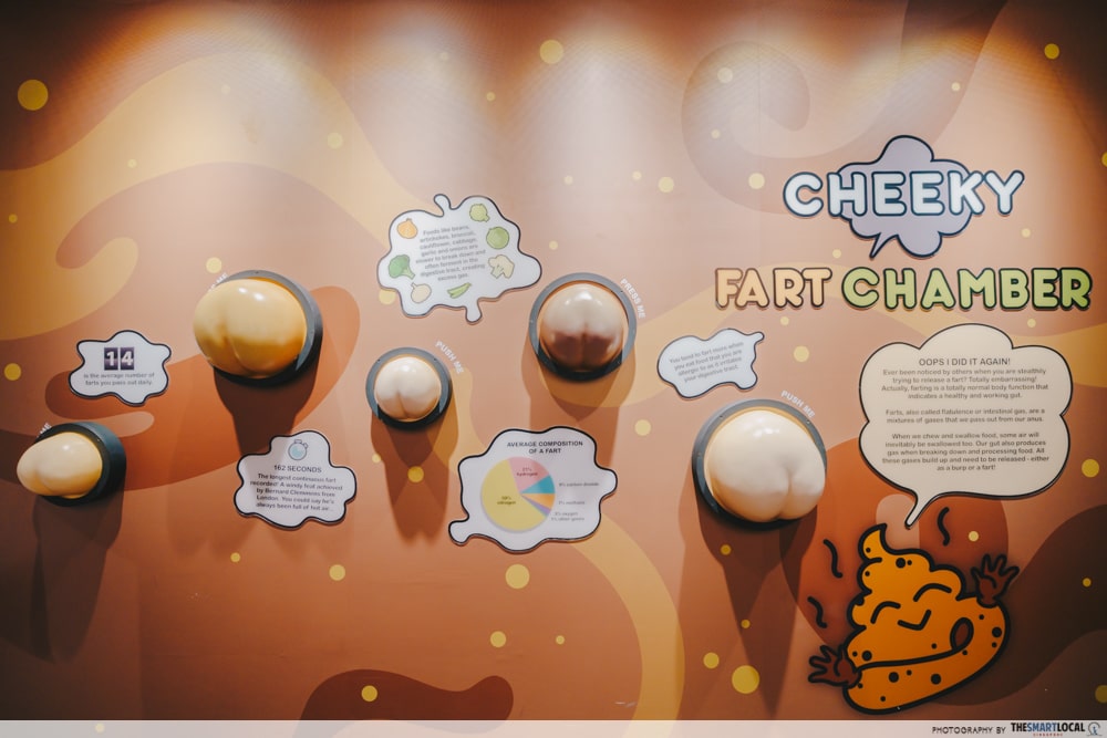 Know Your Poo Exhibition - cheeky fart chamber