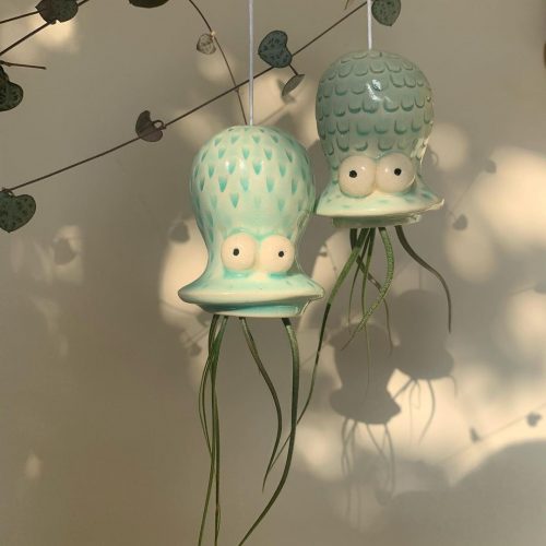 Easy Air Plants To Keep In Singapore For Those Without Green Fingers