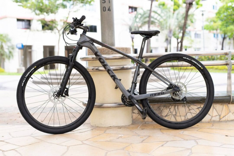 7 Best Mountain Bikes In Singapore Ranked For Basic To Hardcore Trails