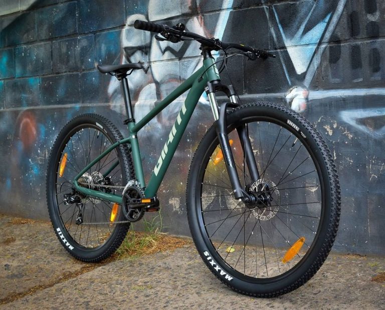 7 Best Mountain Bikes In Singapore Ranked For Basic To Hardcore Trails