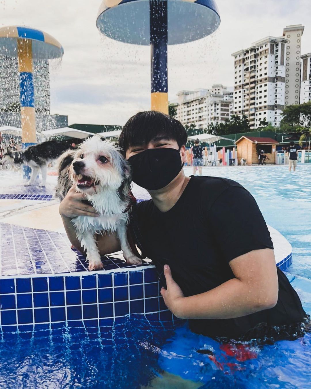 Dog with owner at pool