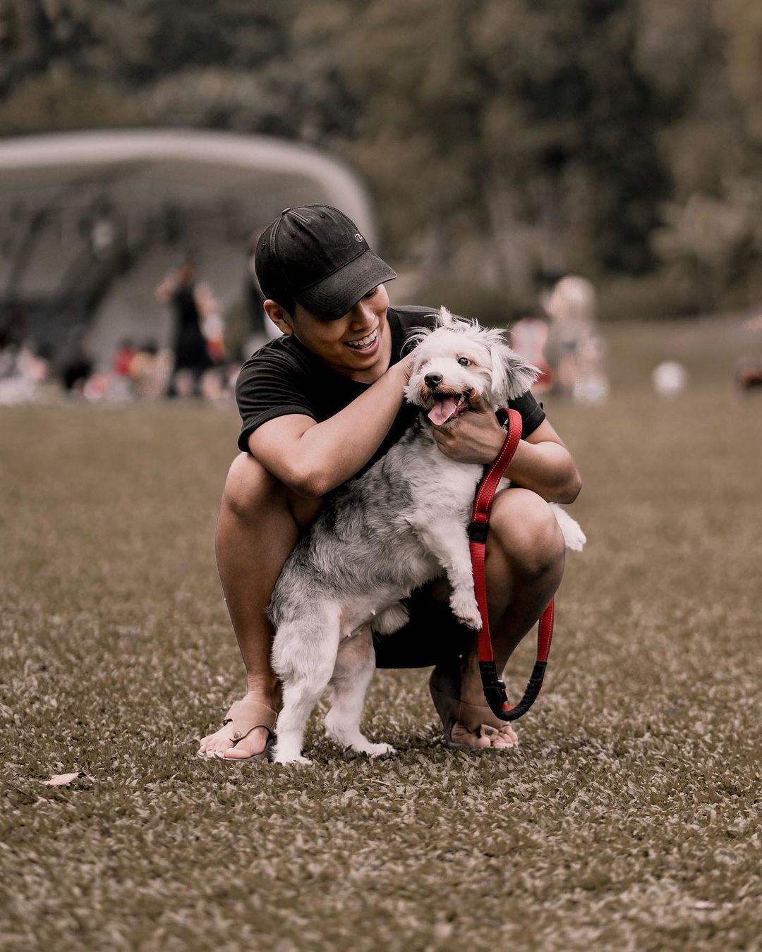 Singapore pets - owner hugging dog