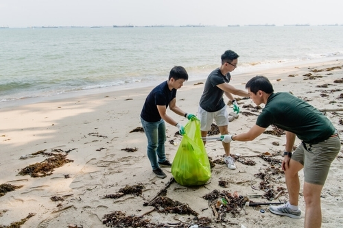 coastal cleanup kit green nudge