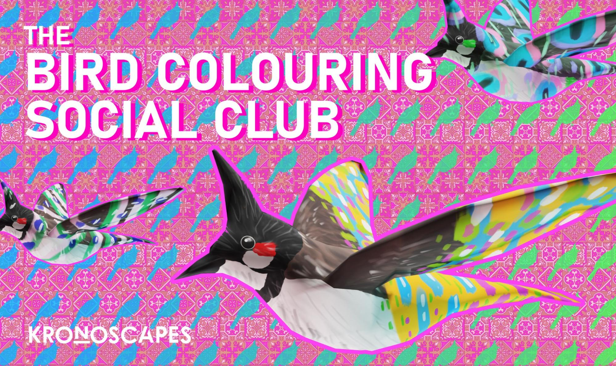 NAC-AYN - The Bird Colouring Social Club