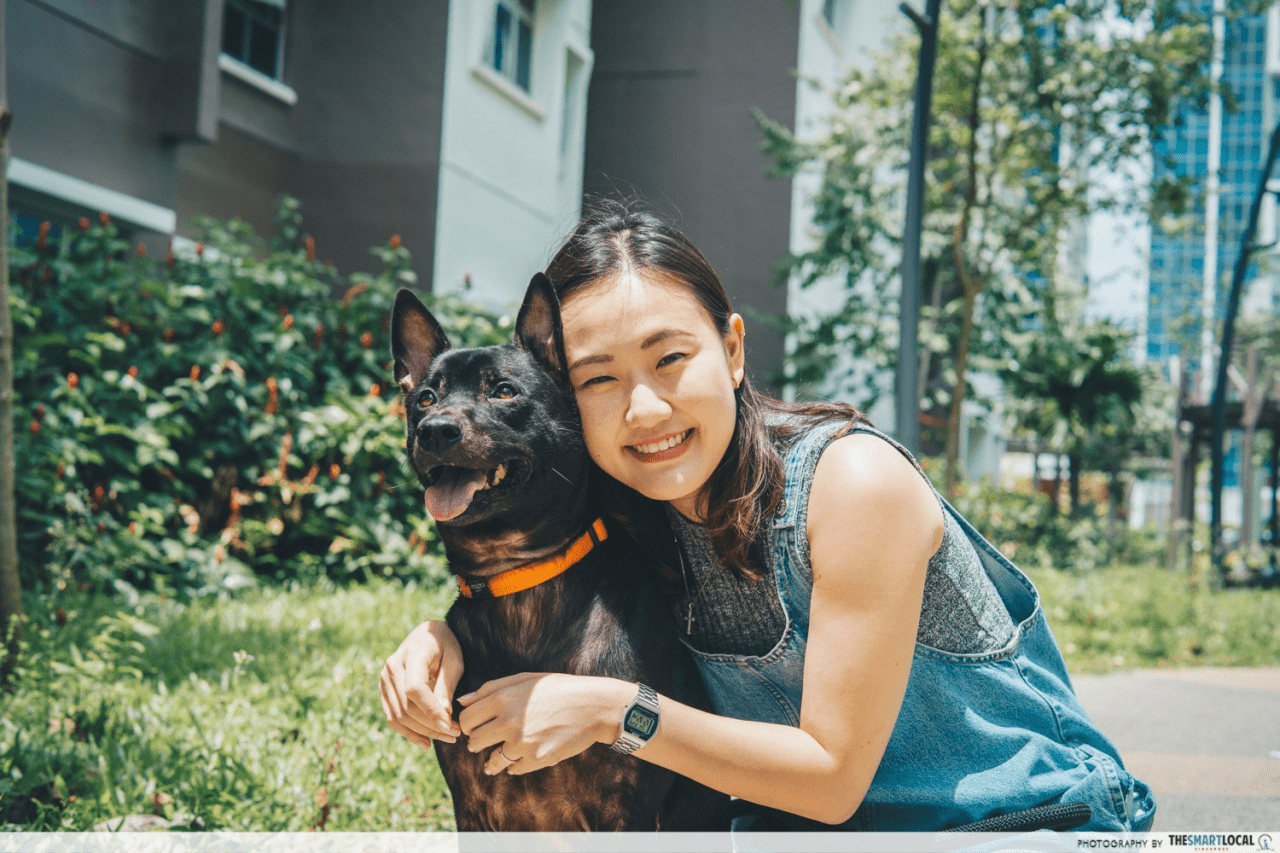 Pet adoption in Singapore - owning a dog