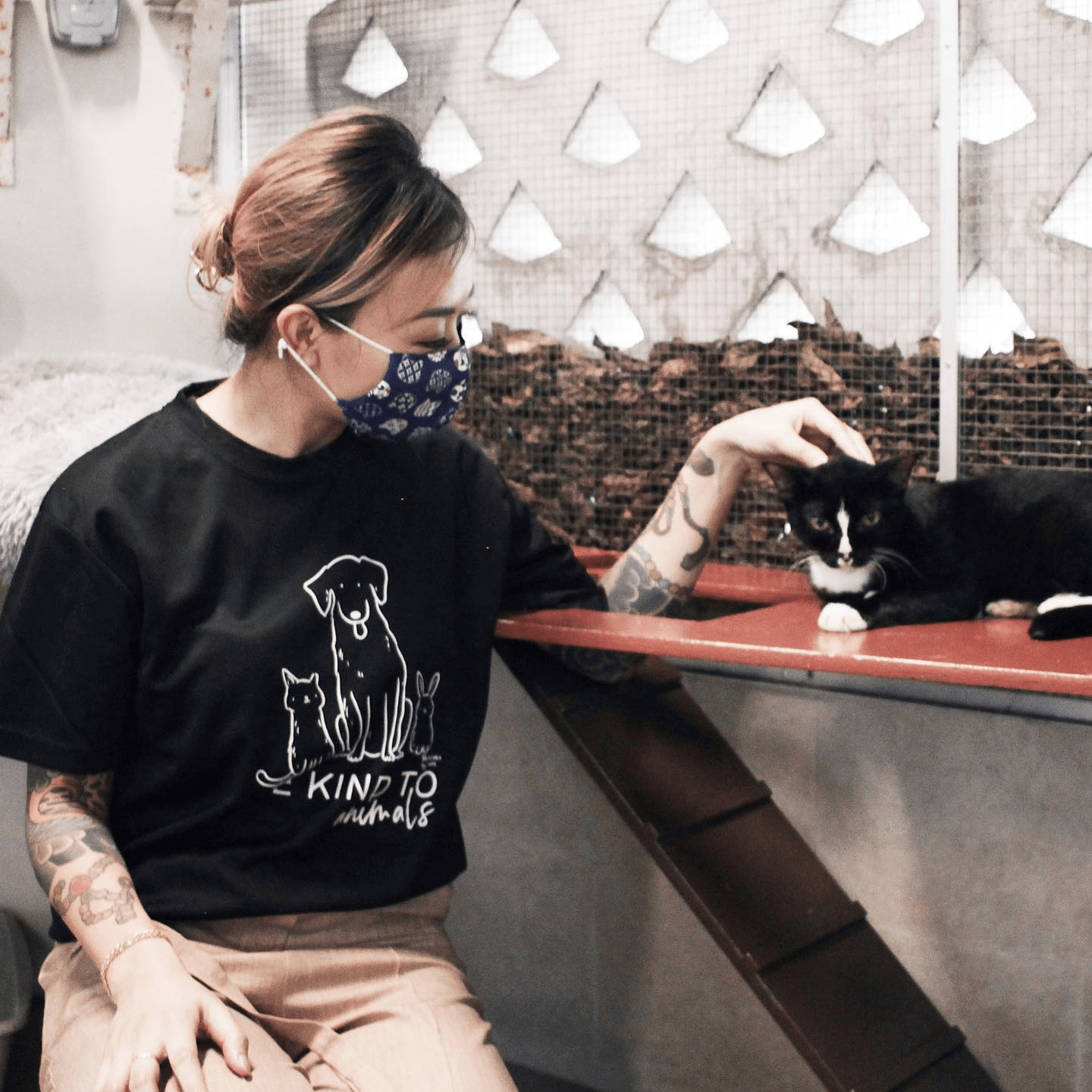 Pet adoption in Singapore - adoption agency 