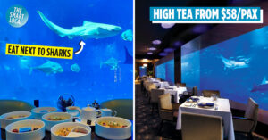 ocean restaurant's high tea cover image