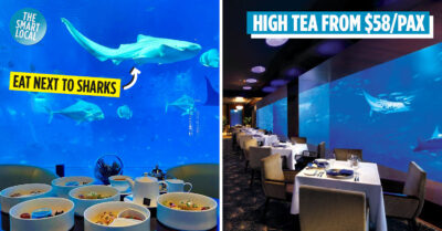 ocean restaurant's high tea cover image