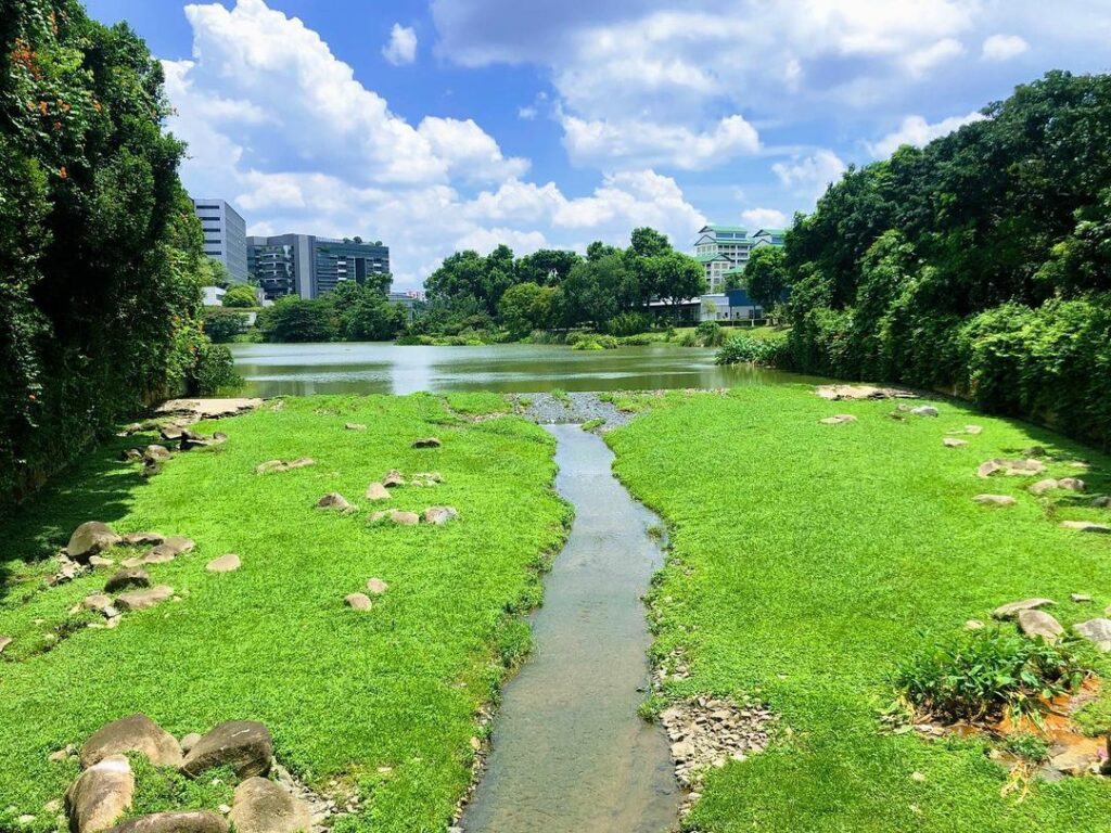 Yishun Park Quaint Nature Spot In The North With Spiral Lookout Tower