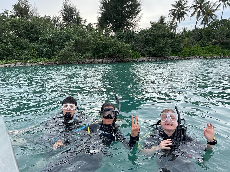 diving and snorkelling