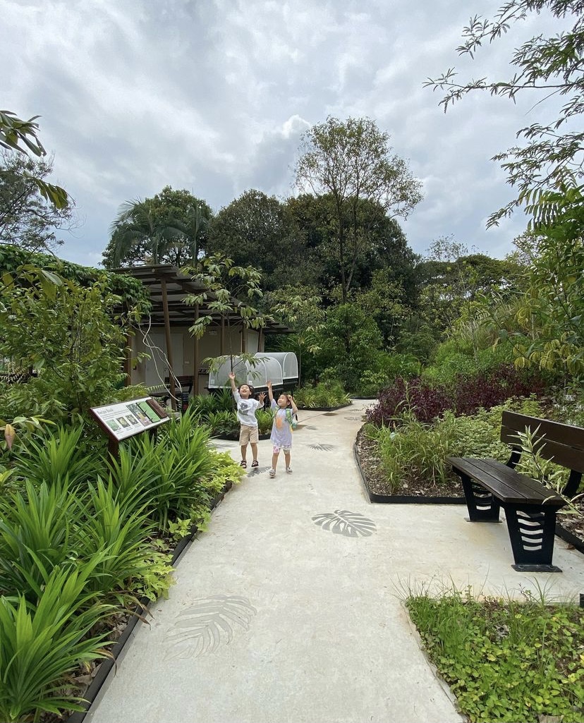 Parks - Therapeutic garden at Jurong Lake gardens
