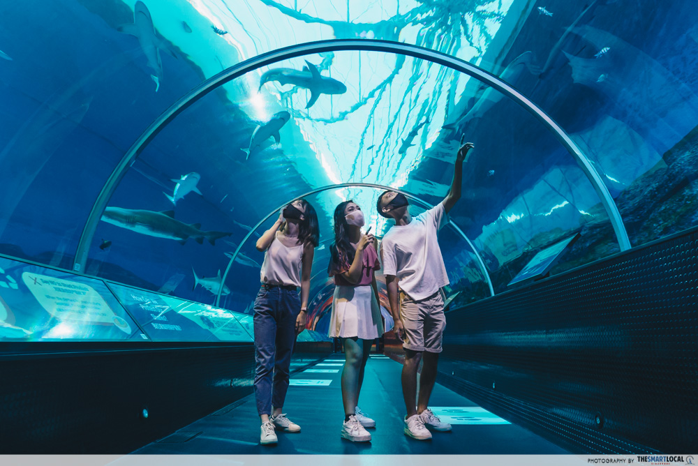 S.E.A. Aquarium Christmas 2021 