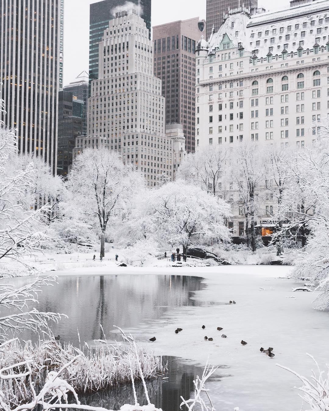central park in winter