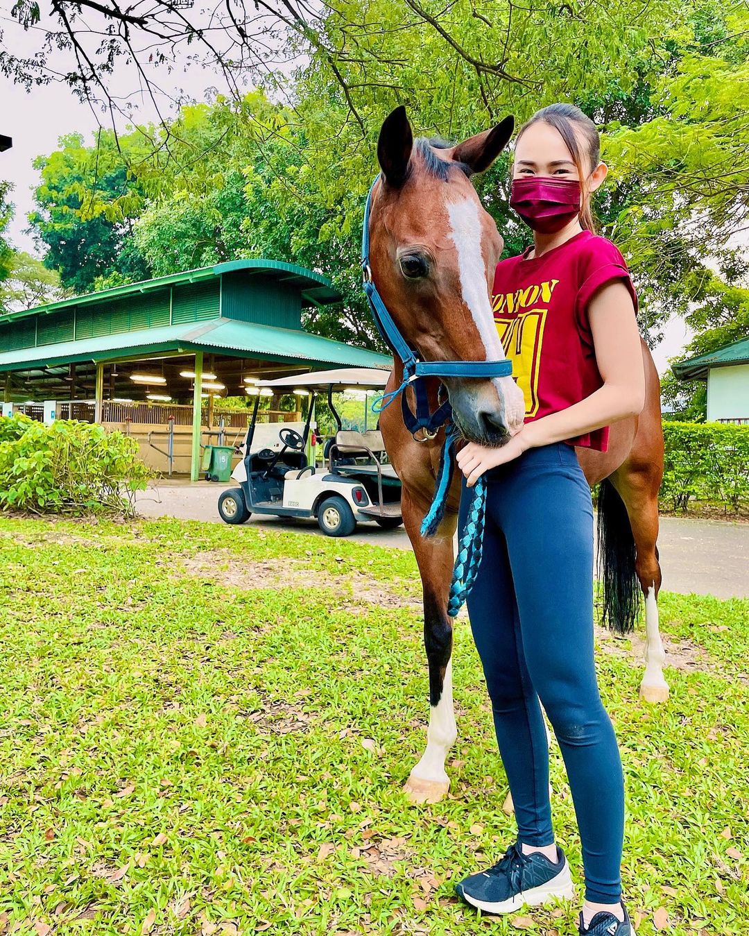 new things to do december 2021 - horse riding experience - Singapore Turf Club Riding Centre