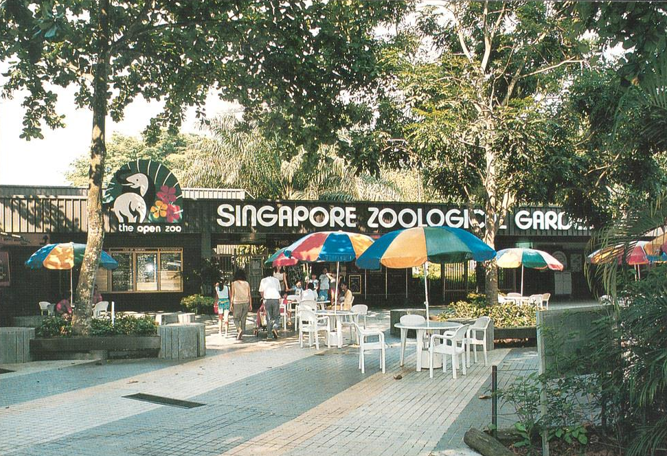 singapore zoo 1980s