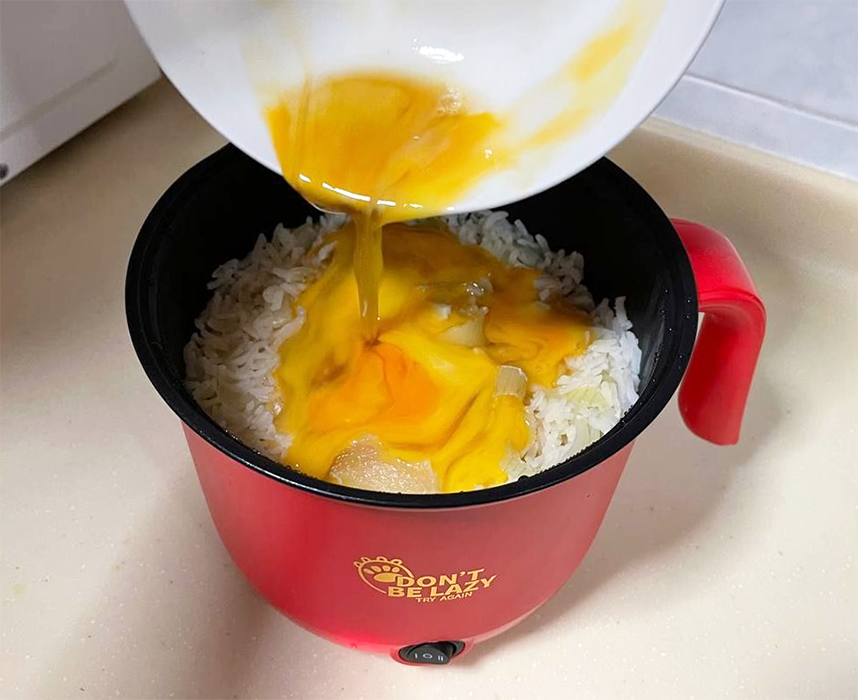 Electric Egg Boiler And Steamer Cum Omelette Frying Pan(Assorted) (Color  May Vary)