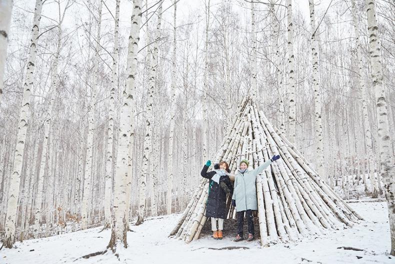 snowy-forest-korea