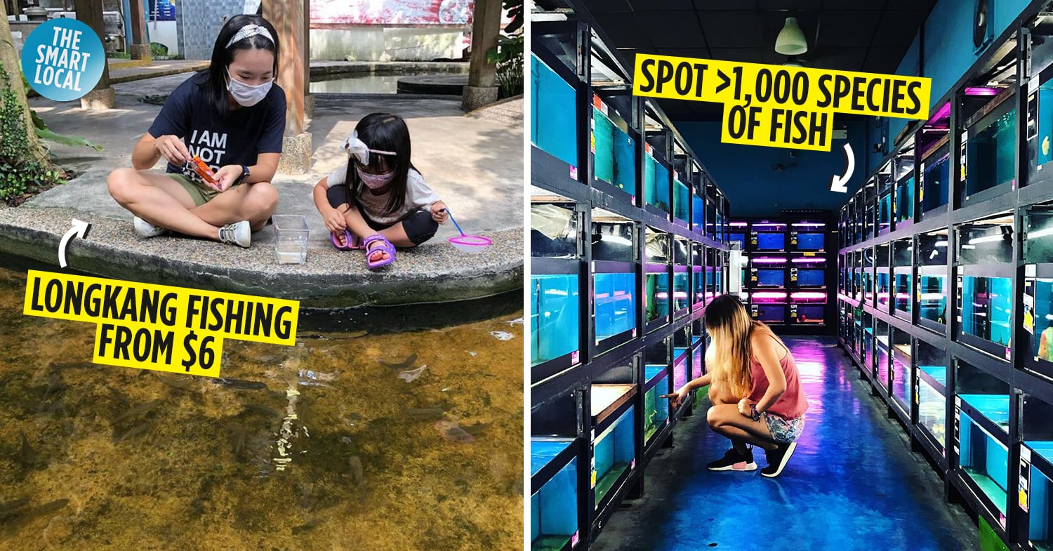 Qian Hu Fish Farm Affordable Longkang Fishing & Fish Spa In CCK