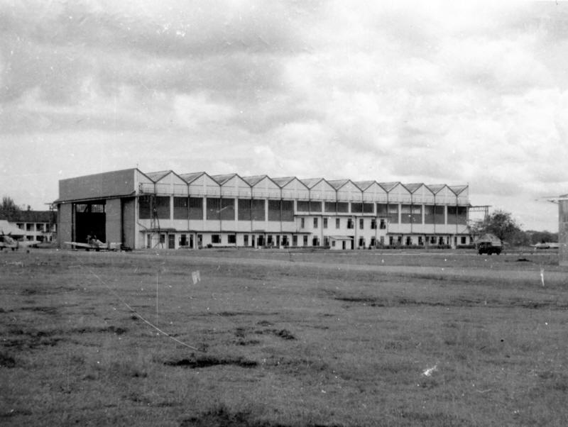 black and white photo of raf seletar and a field