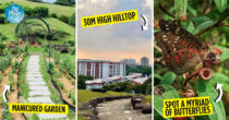 Woodlands Town Park East: Lesser-Known Trails In The North With Panoramic Neighbourhood Views