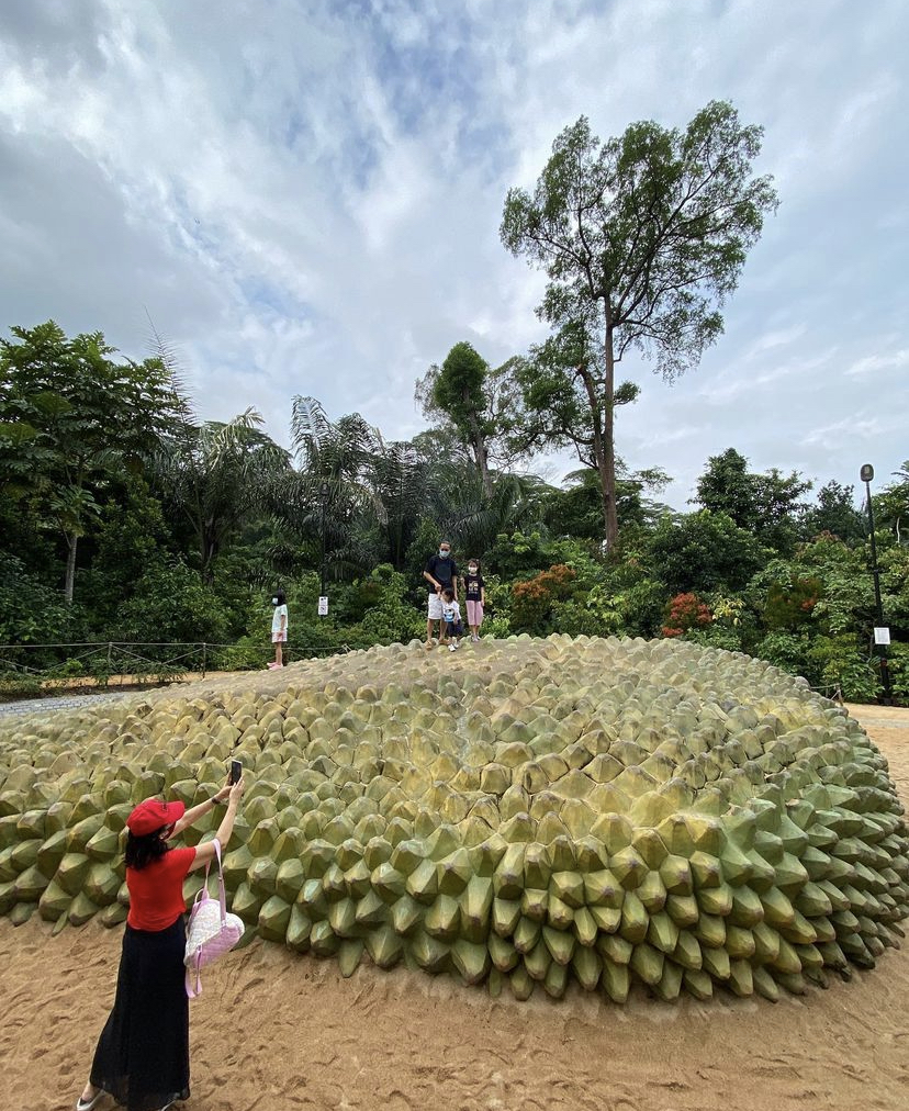 giant durian structure