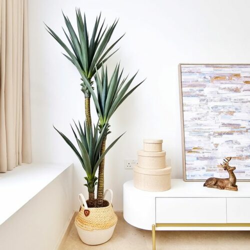 10 Best Places To Buy Artificial Plants In Singapore