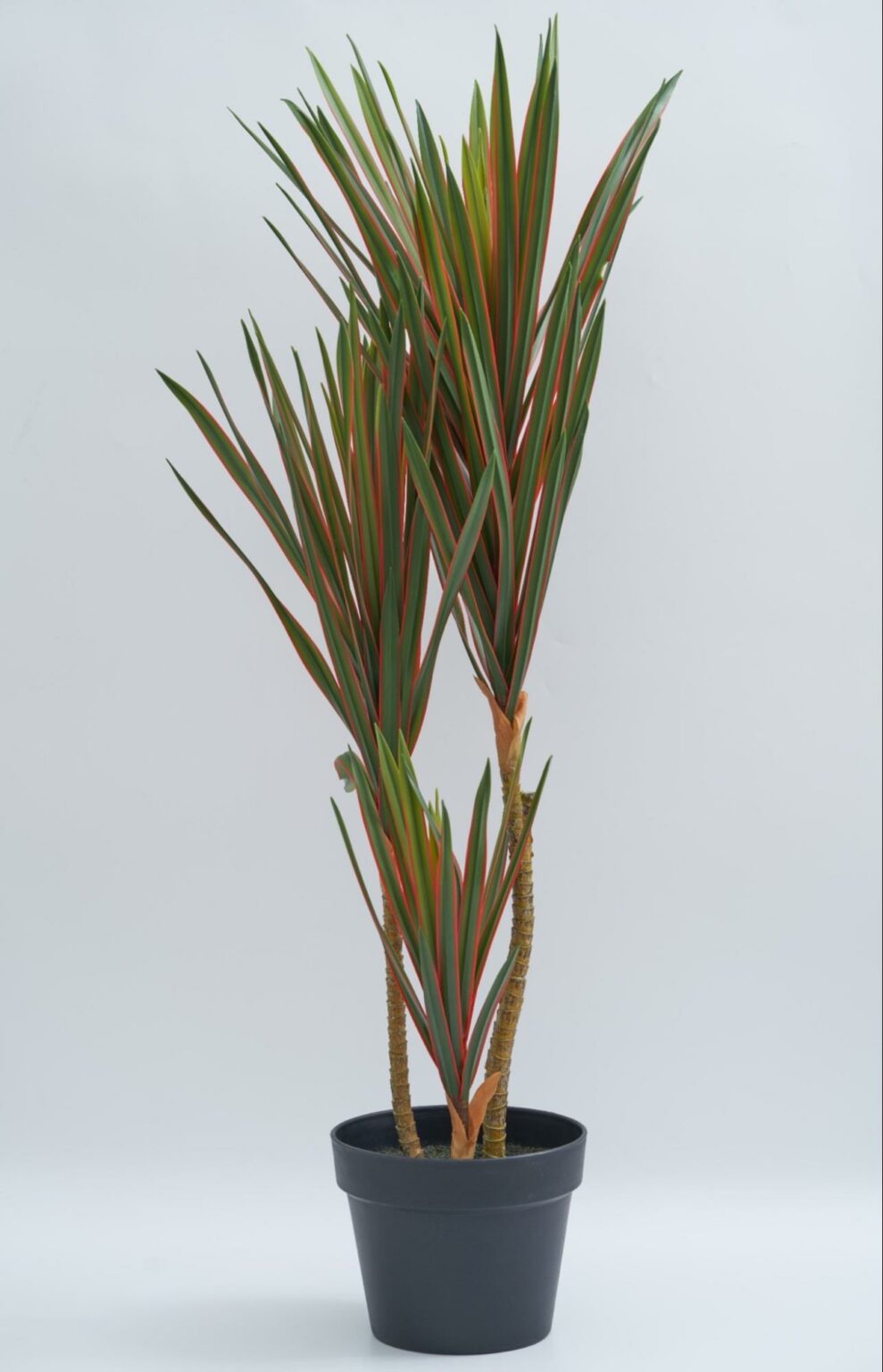 10 Best Places To Buy Artificial Plants In Singapore