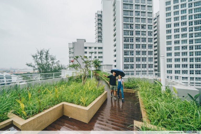 11 Pretty HDB Rooftop Gardens In Singapore's Heartlands