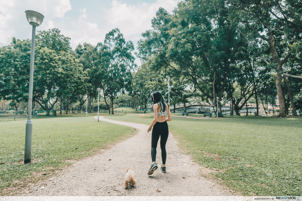 Bishan-Ang Mo Kio Park Singapore Dog Walking