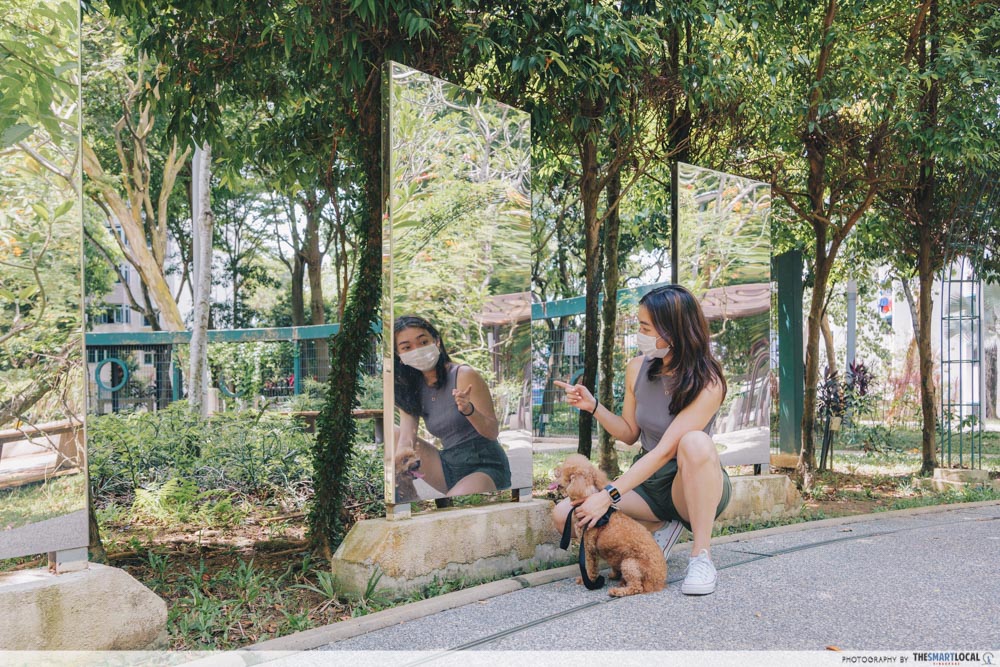 dog at toa payoh sensory park
