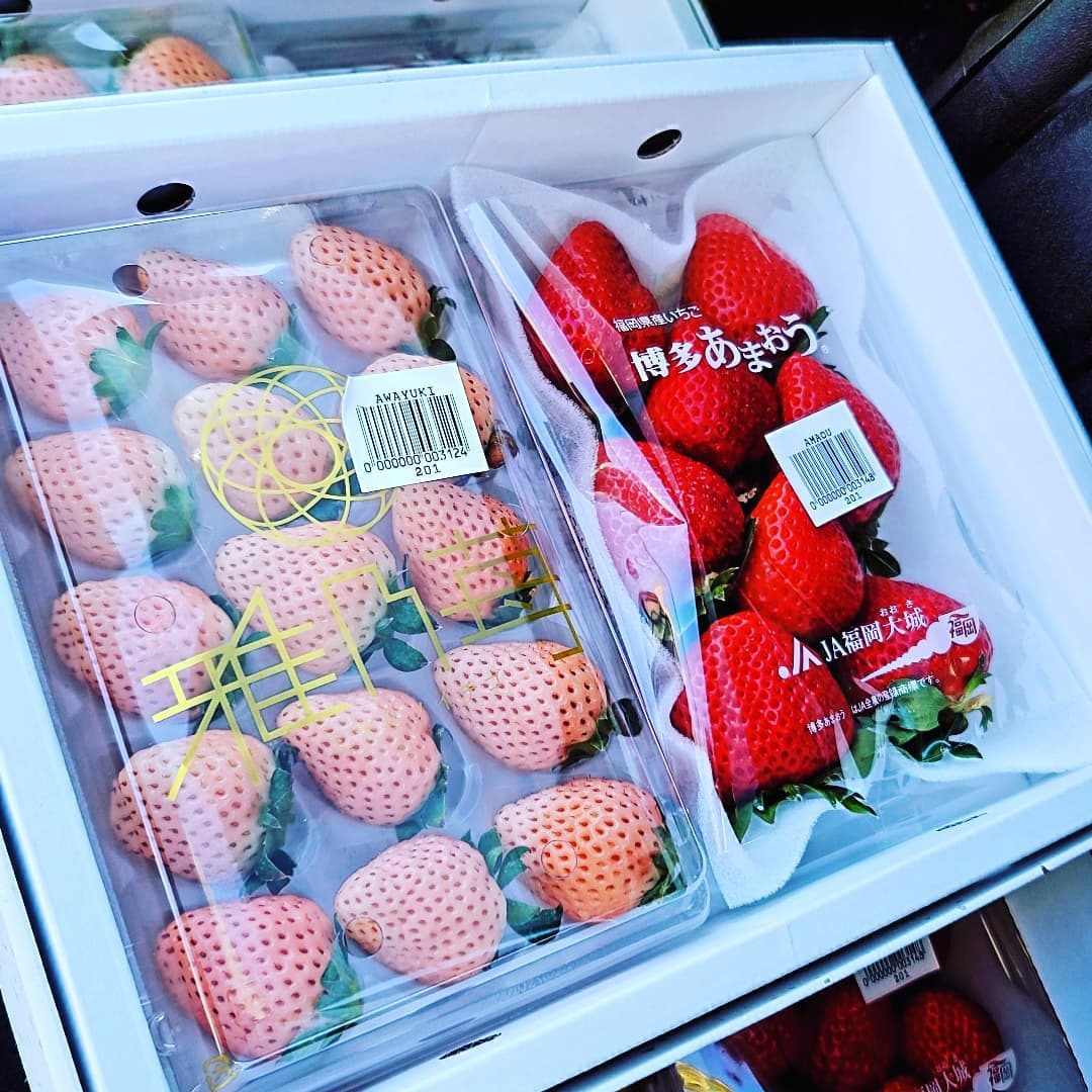 strawberries-amaou