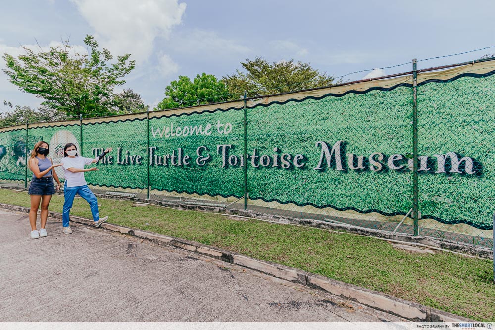 the live turtle and tortoise museum - museum banner 